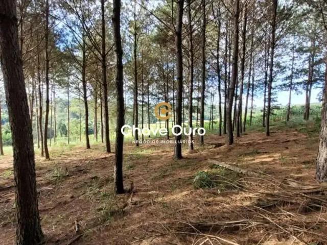 Terreno venda em Cascavel, Região Geográfica Intermediária de Cascavel