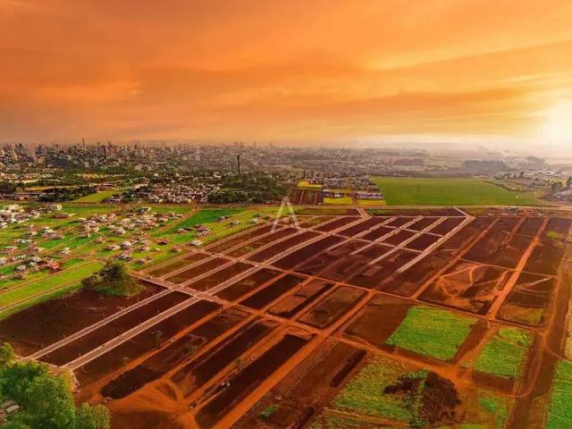 Terreno venda em Região Geográfica Imediata de Cascavel, Cascavel