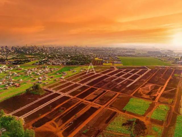 Terreno venda em Região Geográfica Imediata de Cascavel, Cascavel