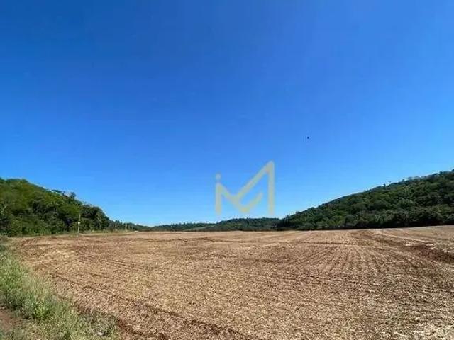 Terreno venda em São Salvador, Cascavel