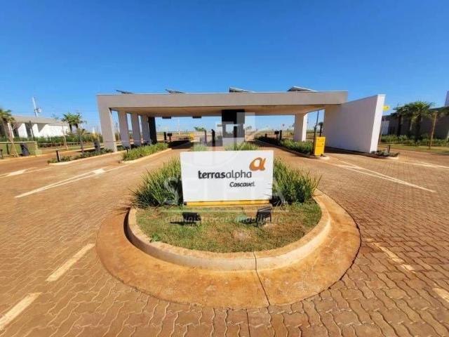 Terreno venda em Esmeralda, Cascavel