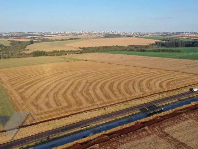 Terreno venda em Região Geográfica Imediata de Cascavel, Cascavel