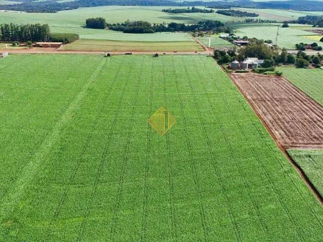 Terreno venda em Região Geográfica Imediata de Cascavel, Cascavel