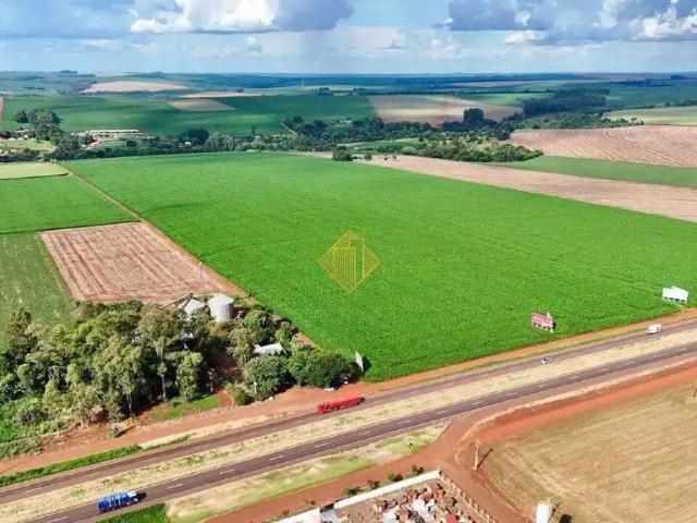 Terreno venda em Região Geográfica Imediata de Cascavel, Cascavel