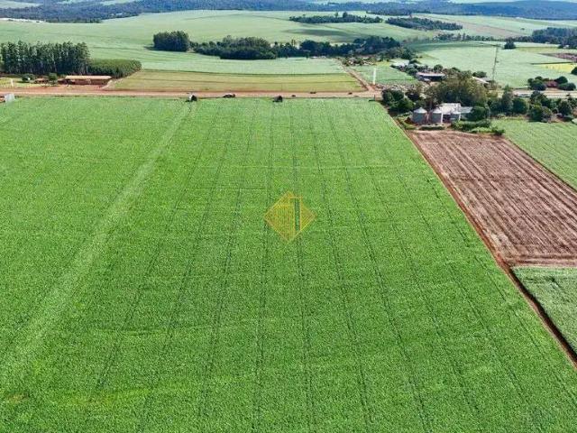 Terreno venda em Região Geográfica Imediata de Cascavel, Cascavel