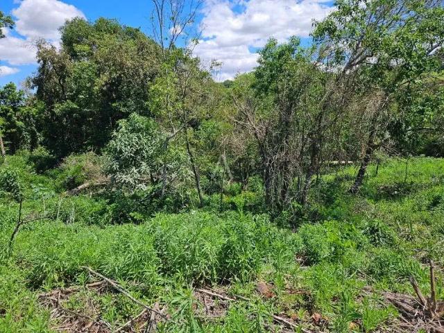 Terreno venda em Região Geográfica Imediata de Cascavel, Cascavel