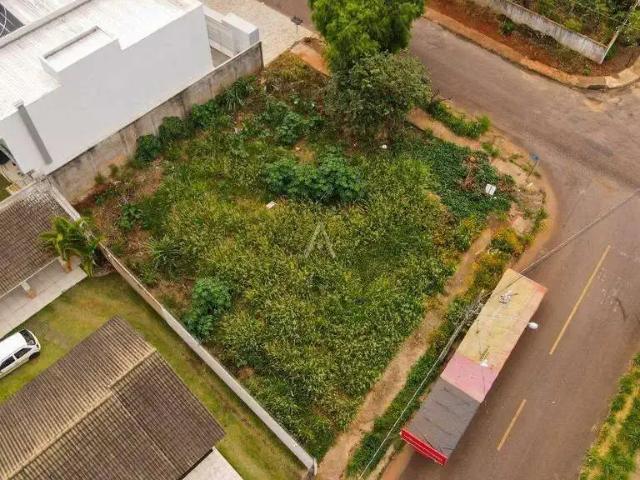Terreno venda em Região Geográfica Imediata de Cascavel, Cascavel