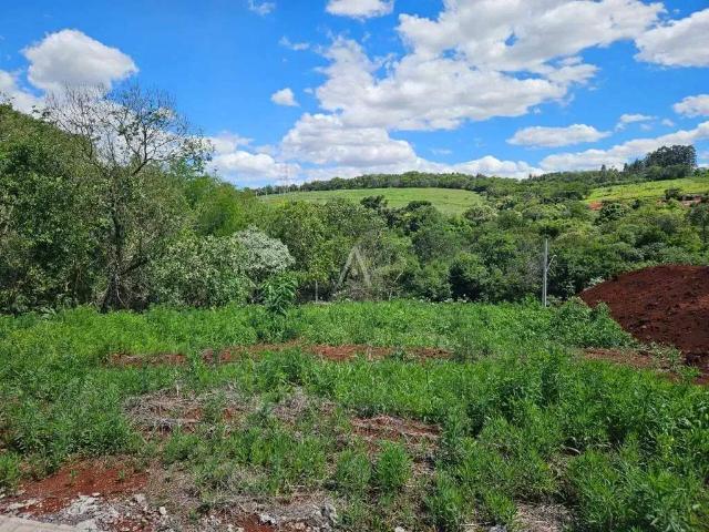 Terreno venda em Região Geográfica Imediata de Cascavel, Cascavel