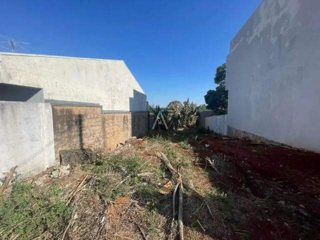 Terreno venda em Região Geográfica Imediata de Cascavel, Cascavel