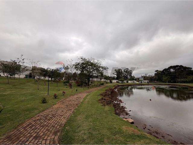 Terreno venda em Cascavel Velho, Cascavel
