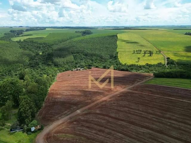 Terreno venda em Região Geográfica Imediata de Cascavel, Cascavel