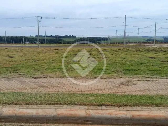 Terreno venda em Pacaembú, Cascavel