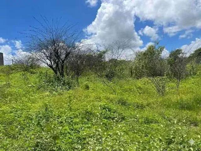 Terreno venda em Catolé do Rocha