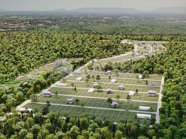 Terreno venda em Parque Soledade, Caucaia