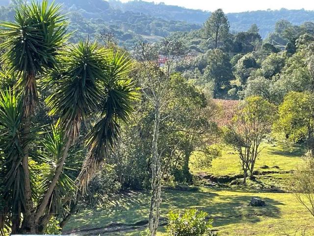 Terreno venda em Região Geográfica Imediata de Caxias do Sul, Caxias do Sul