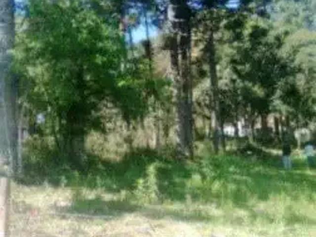 Terreno venda em Região Geográfica Imediata de Caxias do Sul, Caxias do Sul