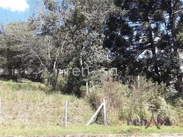 Terreno venda em Região Geográfica Imediata de Caxias do Sul, Caxias do Sul