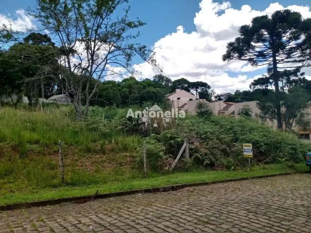 Terreno venda em Região Geográfica Imediata de Caxias do Sul, Caxias do Sul