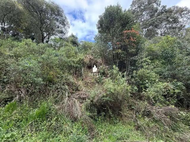 Terreno venda em Caxias do Sul, Região Geográfica Intermediária de Caxias do Sul