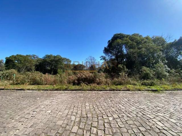 Terreno venda em Região Geográfica Imediata de Caxias do Sul, Caxias do Sul