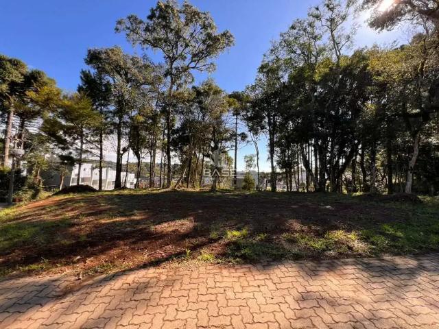 Terreno venda em Região Geográfica Imediata de Caxias do Sul, Caxias do Sul