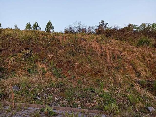 Terreno venda em Caxias do Sul, Região Geográfica Intermediária de Caxias do Sul