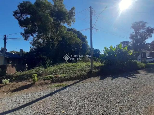Terreno venda em Região Geográfica Imediata de Caxias do Sul, Caxias do Sul