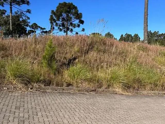 Terreno venda em Região Geográfica Imediata de Caxias do Sul, Caxias do Sul