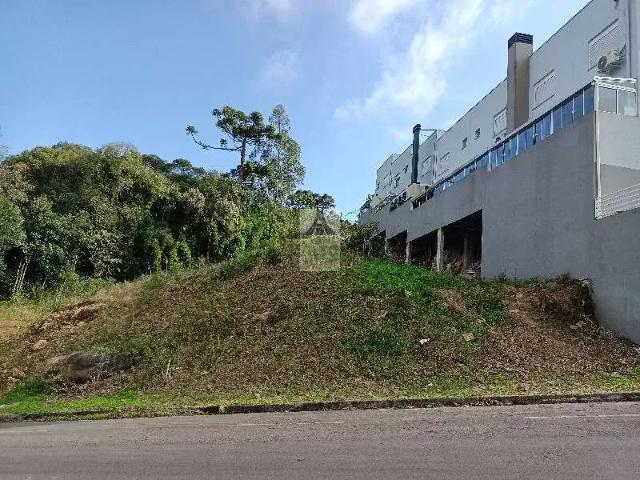 Terreno venda em Região Geográfica Imediata de Caxias do Sul, Caxias do Sul