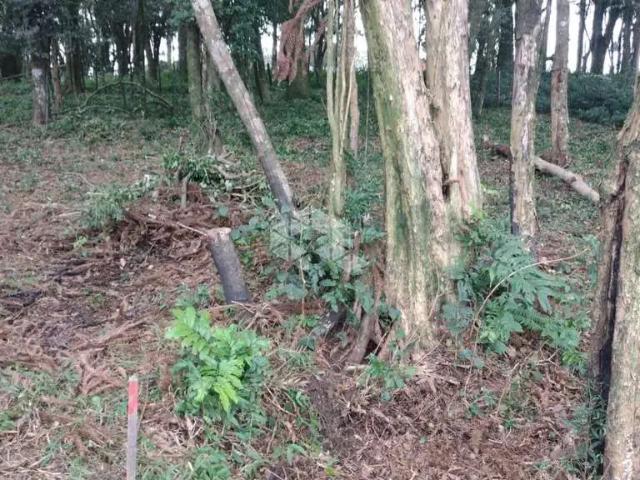 Terreno venda em Região Geográfica Imediata de Caxias do Sul, Caxias do Sul