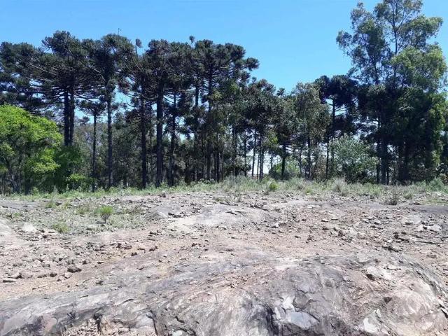 Terreno venda em Região Geográfica Imediata de Caxias do Sul, Caxias do Sul