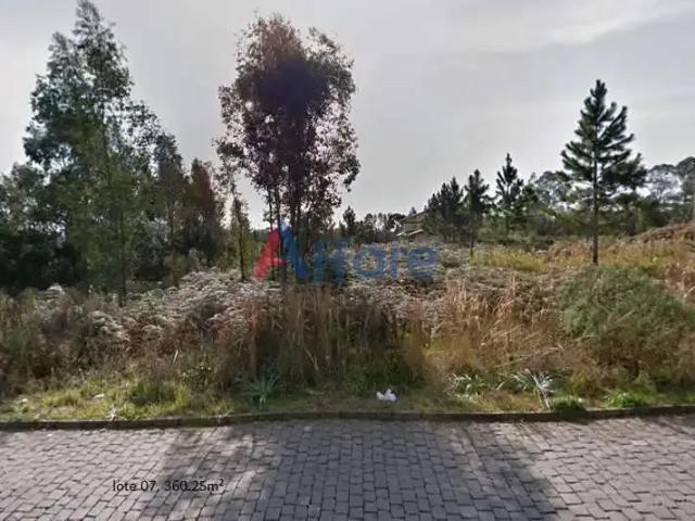 Terreno venda em Região Geográfica Imediata de Caxias do Sul, Caxias do Sul