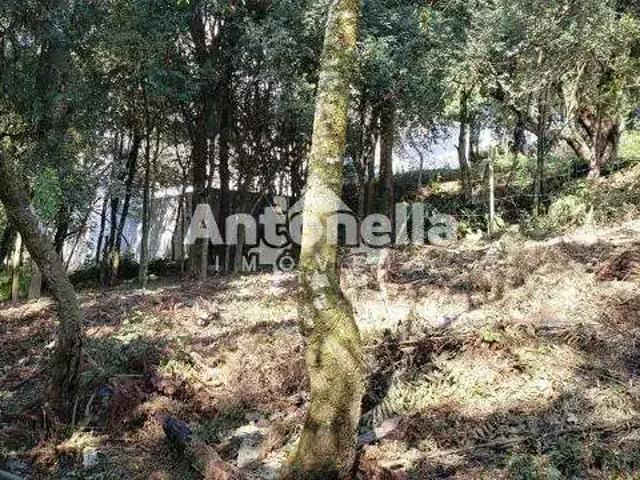 Terreno venda em Região Geográfica Imediata de Caxias do Sul, Caxias do Sul