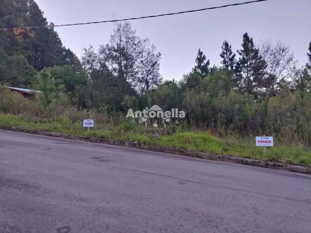Terreno venda em Região Geográfica Imediata de Caxias do Sul, Caxias do Sul