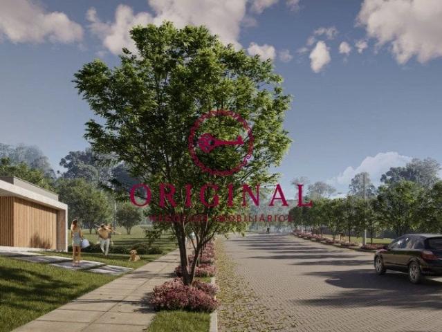 Terreno venda em Região Geográfica Imediata de Caxias do Sul, Caxias do Sul