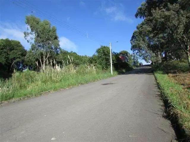 Terreno venda em Região Geográfica Imediata de Caxias do Sul, Caxias do Sul
