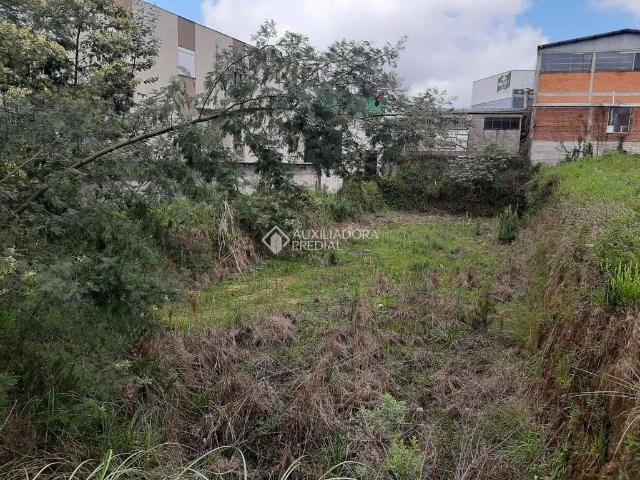 Terreno venda em Região Geográfica Imediata de Caxias do Sul, Caxias do Sul