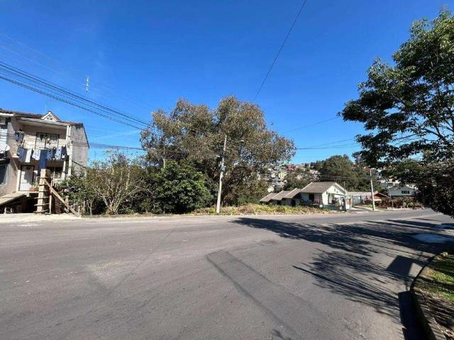 Terreno venda em Região Geográfica Imediata de Caxias do Sul, Caxias do Sul