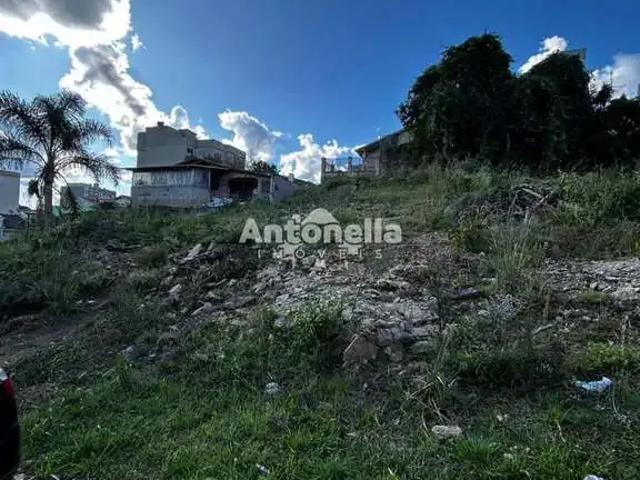 Terreno venda em Região Geográfica Imediata de Caxias do Sul, Caxias do Sul