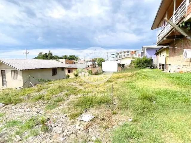 Terreno venda em Região Geográfica Imediata de Caxias do Sul, Caxias do Sul