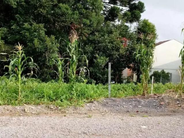 Terreno venda em Região Geográfica Imediata de Caxias do Sul, Caxias do Sul