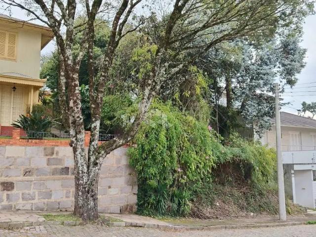 Terreno venda em Região Geográfica Imediata de Caxias do Sul, Caxias do Sul