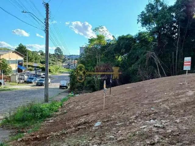 Terreno venda em Região Geográfica Imediata de Caxias do Sul, Caxias do Sul