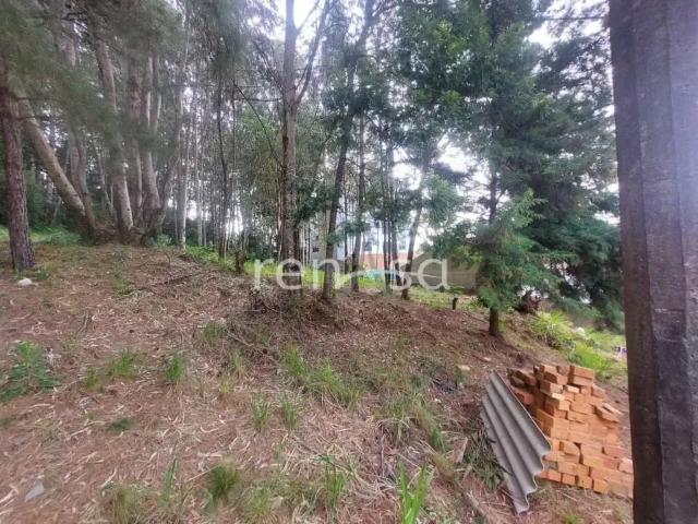 Terreno venda em Região Geográfica Imediata de Caxias do Sul, Caxias do Sul