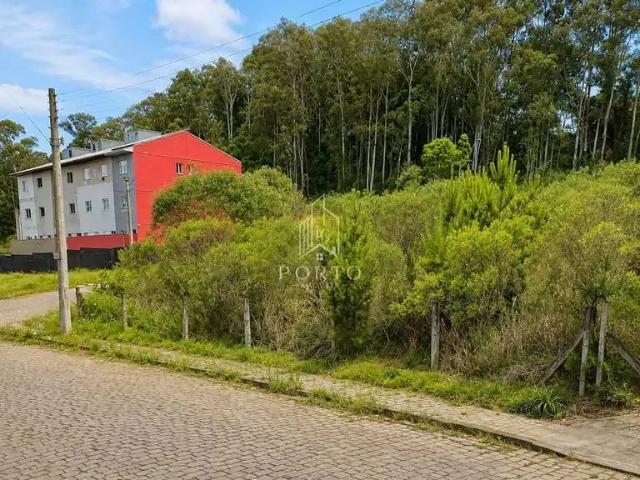 Terreno venda em Região Geográfica Imediata de Caxias do Sul, Caxias do Sul