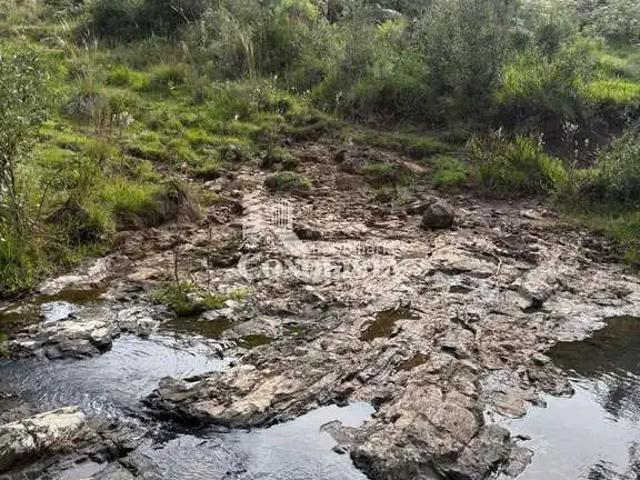 Terreno venda em Região Geográfica Imediata de Caxias do Sul, Caxias do Sul