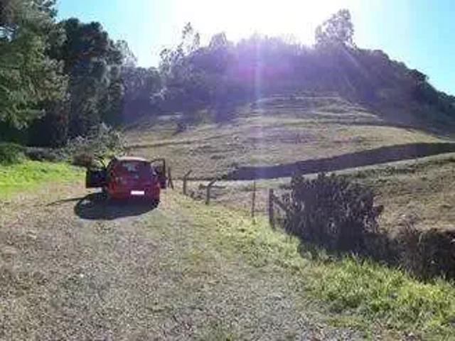 Terreno venda em Região Geográfica Imediata de Caxias do Sul, Caxias do Sul