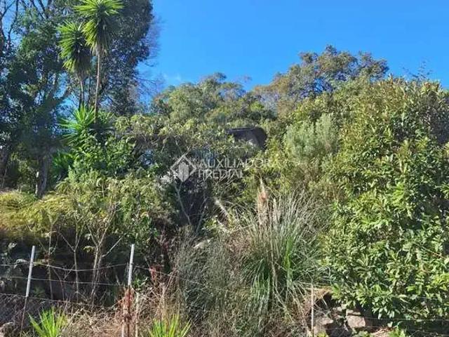Terreno venda em Região Geográfica Imediata de Caxias do Sul, Caxias do Sul