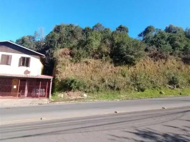 Terreno venda em Região Geográfica Imediata de Caxias do Sul, Caxias do Sul