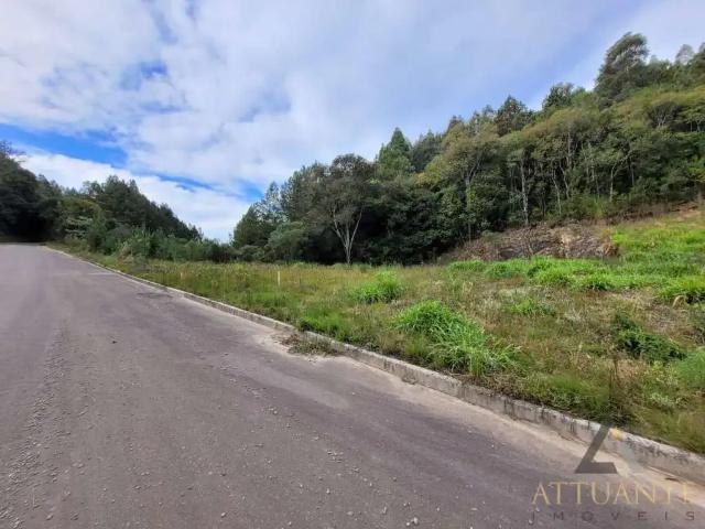 Terreno venda em Região Geográfica Imediata de Caxias do Sul, Caxias do Sul
